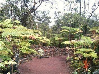 Volcano Rainforest Lodge エクステリア 写真